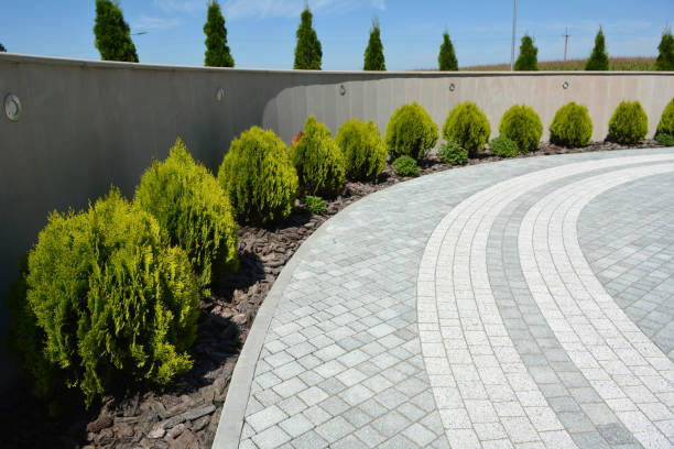 Best Driveway Paver Repair  in Cherokee Village, AR